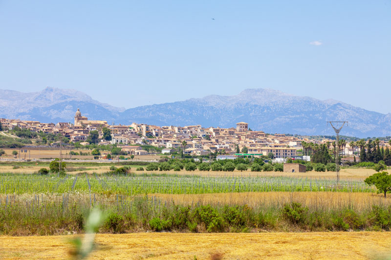 Villa Son Gat Mallorca